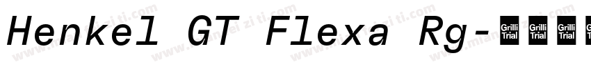 Henkel GT Flexa Rg字体转换